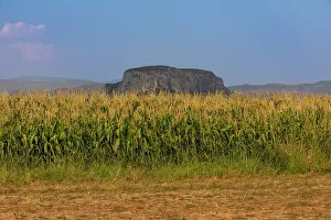 Thessaly Prints: View of a cornfield with rock formation in the distance under a clear summer sky in Greece