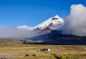 Cotopaxi Province Prints: View towards Cotopaxi Volcano, Cotopaxi National Park, Cotopaxi Province, Ecuador