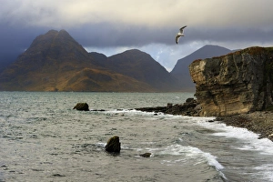 Overcast Prints: View to Cuillin Hills from Elgol harbour, Isle of Skye, Inner Hebrides
