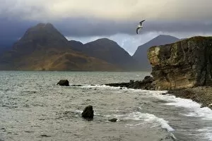 Images Dated 6th October 2010: View to Cuillin Hills from Elgol harbour, Isle of Skye, Inner Hebrides