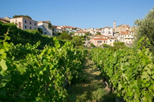 Diano Marina Prints: View of Diano Marina from Diano Castello, Imperia, Liguria, Italy, Europe