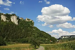 Danube Valley Prints: View of Donautal (Danube valley)