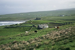Co Clare Prints: View towards Doolin over countryside