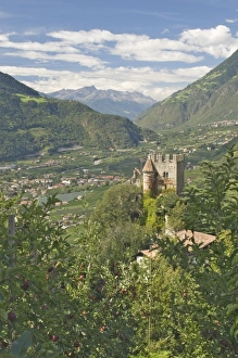 Merano Prints: View from Dorf Tyrol of the 13th century Brunnenburg Castle