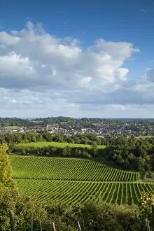 View of Dorking across Denbies Vineyard, Surrey Hills, Surrey, England
