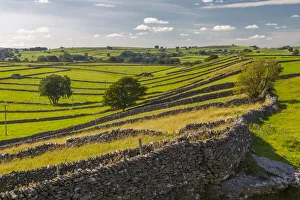 Stone Wall Prints: View of dry stone walls near Litton, Peak District National Park, Derbyshire, England