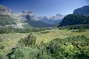Rockies Prints: View east from Logan Pass