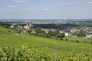 Rhine Valley Prints: View east over the Rhine Valley and St