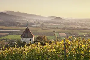 Black Forest Prints: View over Ehrenstetten Oelbergkapelle Chapel to Staufen Castle