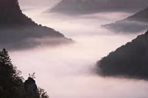 View from Eichfelsen Rock into Danube Gorge at sunrise, Upper Danube Nature Park