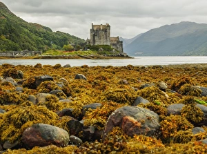 Pretty Prints: View of the Eilean Donan Castle, Dornie, Highlands, Scotland, United Kingdom, Europe