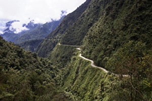 Andes Prints: View of the El Camino della Muerte, Yungas Valley, Bolivia, South America