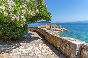 Local Flora Prints: View of Faliraki Corfu in Corfu Town, Corfu, Ionian Sea, Greek Islands, Greece, Europe