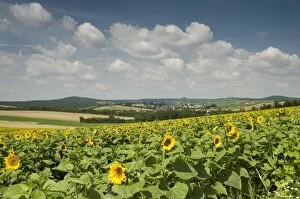 Images Dated 4th July 2009: View Falkenstein Castle and surrounding countryside, Niederosterreich, Austria, Europe