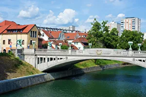 Pedestrian Bridge Prints: View of the famous single arch Dragon Bridge