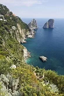 Images Dated 26th April 2010: View of Faraglioni Rocks from Gardens of Augustus on Isle of Capri, Bay of Naples