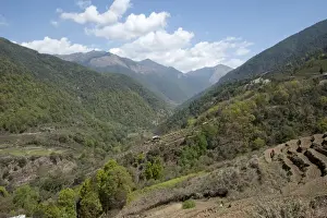 Foothills Prints: View through farmland clinging to the Himalayan foothills towards China from Wangdue