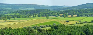 Farms Prints: View of farmland near Chatsworth House in spring