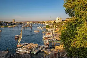 Nubia Prints: View of fellucas on the Nile river from Feryal Garden during golden hour