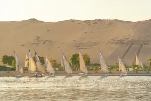 Nubia Prints: View of fellucas on the Nile river during golden hour