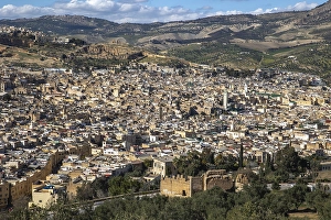 Artisan Prints: View of Fes city, Morocco