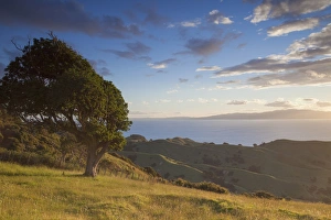 Waikato Prints: View of Firth of Thames, Coromandel Peninsula, Waikato, North Island, New Zealand, Pacific