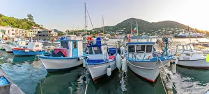 Waterfront Dining Prints: View of fishing boats in Porto d'Ischia at sunset