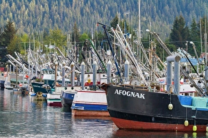 Docked Prints: View of the Fishing town of Petersburg, Southeast Alaska, United States of America