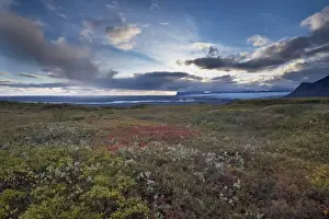 Delta Prints: View over flat-sand delta of Skeidararsandur and Skeidara river under Vatnajokull glacier