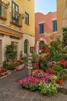 Sidewalk Prints: View of flower display outside florists in street