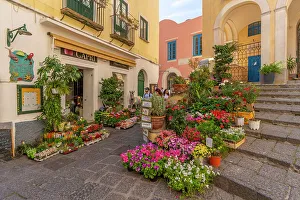 Sidewalk Prints: View of flower display outside florists in street