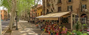 Sidewalk Prints: View of flower stall and cafe on tree lined La Rambla in Palma