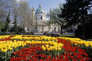 Austrian Eu Prints: View over flowerbeds of red and yellow tulips to the Karlskirche (church)
