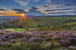View of flowering heather on Stanage Edge and Hope Valley at sunset, Hathersage