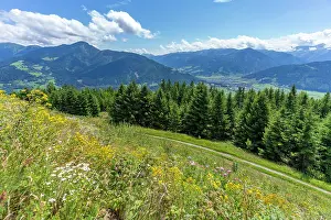 Stunning Prints: View of flowers, meadows and mountains from Plettsaukopf Reservoir on a sunny day