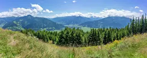 Meadows Prints: View of flowers, meadows and mountains from Plettsaukopf Reservoir on a sunny day