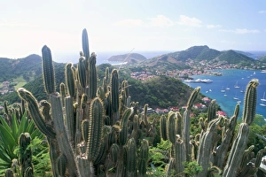 View from Fort Napoleon