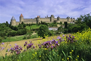 Carcassonne Prints: View of the fortified city, Carcassonne, UNESCO World Heritage Site, Languedoc