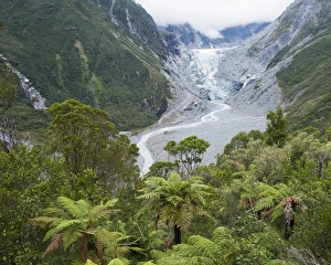 Fox Glacier Prints: View to the Fox Glacier from the Chalet Lookout Track, Fox Glacier, Westland Tai