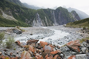 Fox Glacier Prints: View over the Fox River from the Glacier Valley Track, Fox Glacier, Westland Tai
