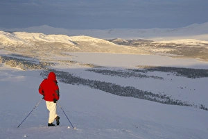 Contemplating Gallery: View over frozen Lake Furusjoen