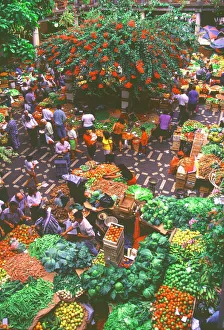 Food And Drink Prints: View over fruit and vegetable market, Funchal, Madeira, Portugal, Europe