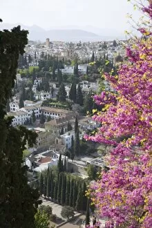 View from gardens of the Generalife to the Albaicin district, Granada, Andalucia