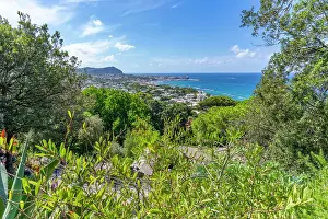 Day Trip Prints: View of Giardini la Mortella Botanical Garden and Forio in background