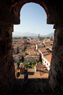 Roof Top Prints: View from the Giunigi Tower, Lucca, Tuscany, Italy, Europe