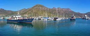 Seacoast Prints: View of glass bottom boat leaving Hout Bay Harbour