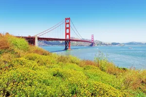 Enjoyment Prints: View of Golden Gate Bridge with blooming flowers and blue sky in San Francisco, California