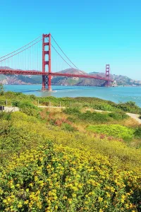 Iconic Prints: View of Golden Gate Bridge with flowers in San Francisco during a sunny day in California