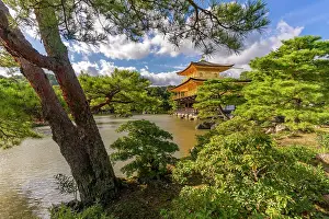 Pavilion Prints: View of Golden Temple (Kinkaku-ji) (Temple of the Golden Pavilion)