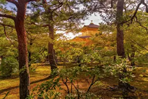 Pavilion Prints: View of Golden Temple (Kinkaku-ji) (Temple of the Golden Pavilion)